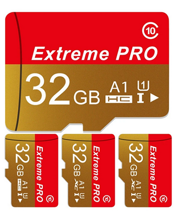 Carte Micro SD Extrême Pro