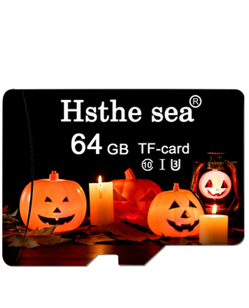 Carte mémoire Sea-Mini 64 Go